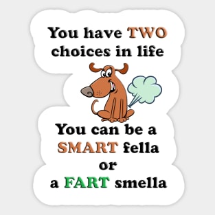 You Can Be A Smart Fella or Fart Smella Sticker